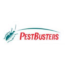 Singapore's #1 Pest Defense! The Ultimate Solution in Pest Control. #zeropests