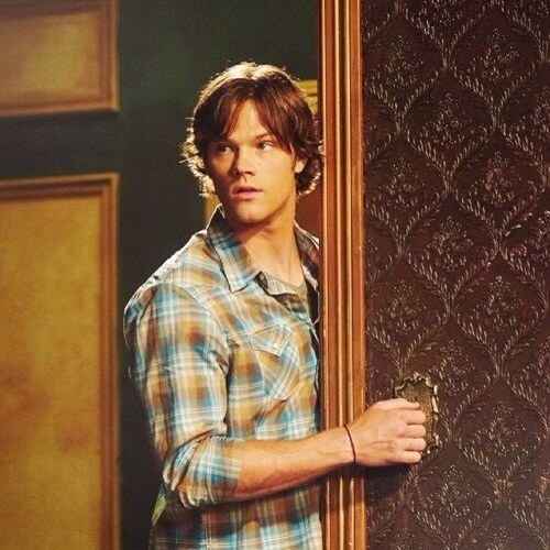 Dean Winchester's little brother. The Ex-Blood Junkie of Team Freewill. l (Supernatural rp)