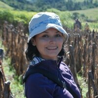 Georgina Catacora-Vargas (@gcatacorav) 's Twitter Profile