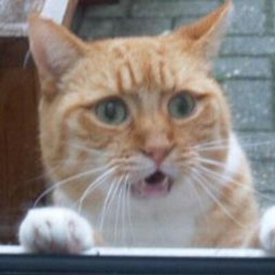 おやじ Nboxカスタム ターボ 見た目をガラっと変える為 ボンネットとグリルを変更しローダウンさせる 社外hdd60gbのナビとレーダー Etc完備 エンブレム 全取り外して見てくれをnと分からないように仕様変更 おやじ Nboxカスタム ターボ 見た目をガラっと変える為 ボンネットとグリルを変更しローダウンさせる 社外hdd60gbのナビとレーダー Etc完備 エンブレム 全取り外して見てくれをnと分からないように仕様変更