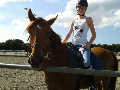 paarden zijn de liefste dieren van de wereld!