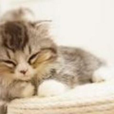 Follow マザーテレサ 名言 S Motherx36 Latest Tweets Twitter