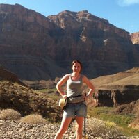 Sandra Murphy (@sandramurphy06) 's Twitter Profile