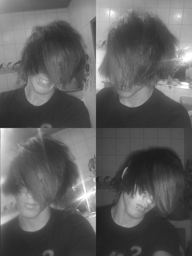 Danny_Ate_A_Bug's profile picture. 