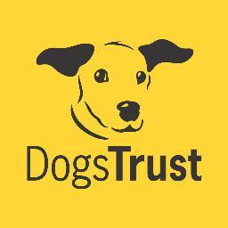 Dogs Trust Bosna i Hercegovina: Rehoming, neutering, responsible dog ownership campaigns and education.

We never put a healthy dog down.