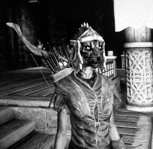 Dar'Kijjan Aoni hails from the Western borders of Elsweyr, a city by the name of Torval. Disgraced and disowned by her family, she seeks redemption.