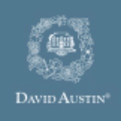 Beautiful products for your garden and home, brought to you by David Austin Roses