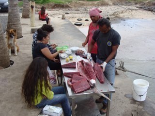 Arenas Negras Lab Ocean Paradigm Shift #UpcyclingTogoMadBerlin