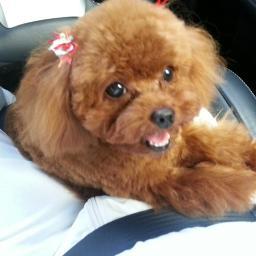 ishiya913's profile picture. はじめまして！犬好きのおじさんです。仕事はサプリメントや化粧品を製造して、ネットで販売しています。飲食店も数件経営しています。アウトドアが大好きで、バイクに乗ってツーリングをしたり、釣りをしたり、マリンジェットで遊んだり、ダイビングをしたりしています。気軽に絡んでくださいね。