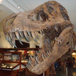 Ivleontellus's profile picture. 