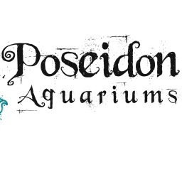 Full service aquarium concierge business specializing in maintenance, custom design and installation of salt and fresh water aquariums in South Florida.