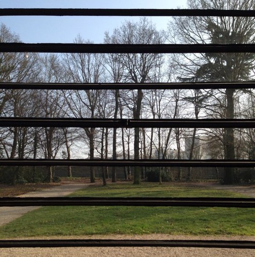 robotcon's profile picture. 