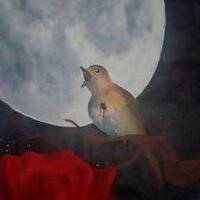 Anil Sahin (@anilsahinthougt) Twitter profile photo