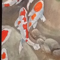 Debbie Bennetts (@bennettsdebbie) 's Twitter Profile Photo Debbie Bennetts (@bennettsdebbie) 's Twitter Profile Photo