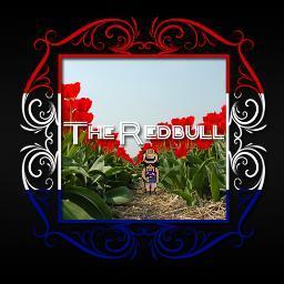 DJ TheRedBull, die moet je volgen!