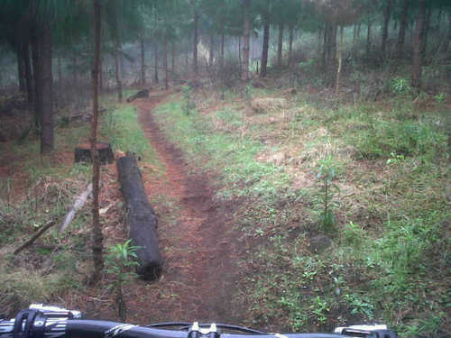 thelightyhall's profile picture. 