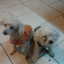 Leonardo Avendaño D. - @LeonardoAdiaz24 - Twitter