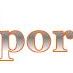 Varsity Sports Onlin (@varsitysportson) Twitter profile photo