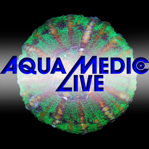 Located in Colorado, Aqua Medic Live is a wholesale distributor of Coral, Invertebrates, Clean Up Crews, and Live Rock.