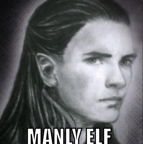 Im Maeglin, an elf of Gondolin and Nan-Elmoth n stuff. Im missunderstood and helpless... Help! Half parody, half RP.