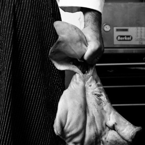 chef and owner: @kindredDAV