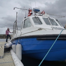 Whale, wildlife & whirlpool boat trips from the mainland. Established 25 years. Marine Biologist skipper and wildlife guide.