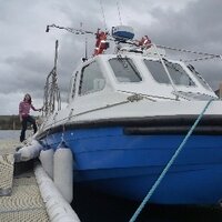 Sealife-Adventures (@sealifea) Twitter profile photo