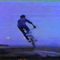 vcc2k's profile picture. . . . in a voice that rustled.