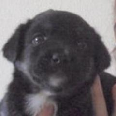 EyalBloom's profile picture. 