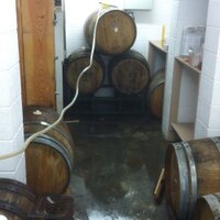 libertinebrew (@libertinebrew) 's Twitter Profile