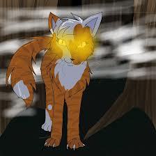 Maple9313's profile picture. orange and white she cat. Brave, strong and wise. I want to be the best warrior ever! Loves: Lionstrike.Mentor was Dawnstar @ammallon033.