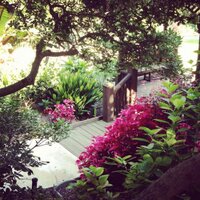 SD Botanic Garden (@sdbotanicgarden) 's Twitter Profile