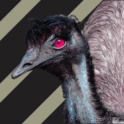 wbsvn's profile picture. =]