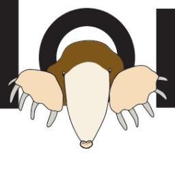 We are the one and only Rob and the Moles. Robs mum says that we're really good. We put the pardy in parody.