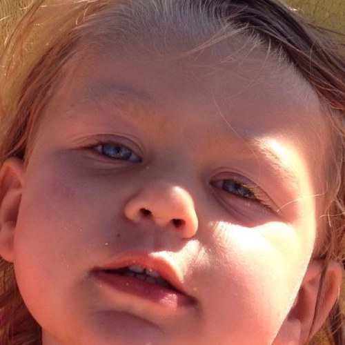 cali_the_knight's profile picture. fire fighter/ De Ridder Brandbeveiliging/survivalrunning