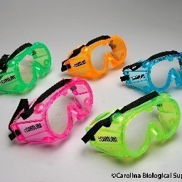 6msscience's profile picture. science teacher: live, learn, explore