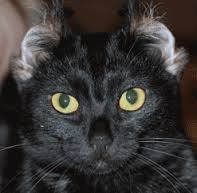 #фолловинг #взаимныйфолловинг, #RuFollowMe, #ru_ff, #rufollowback, #ЧитаюВзаимно,#ЧитайМеняАяТебя