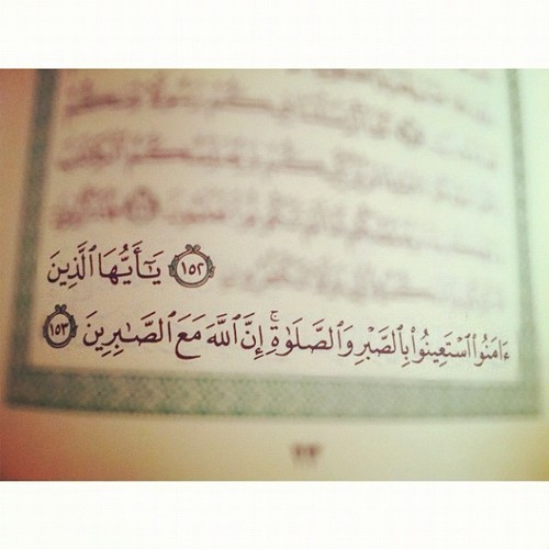 webasto4's profile picture. http://t.co/MEOTRo3HDo