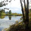 joanne berger - @joannedberg - Twitter