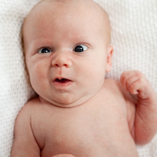 ............................................................................. Start posting at 501 followers :-]
