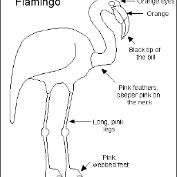 Snacker7's profile picture. Glasgow Rangers fan . Ex fisherman.....now tugging along!.?