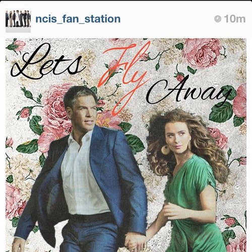 Awesome_Heroes's profile picture. Simply ncis