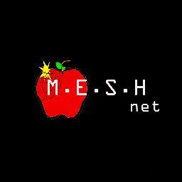 MESHnet2013's profile picture. 