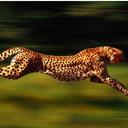 Trina Cole - @Trina_Cole - Twitter