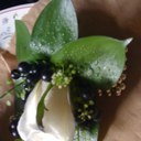 Beverley Dale - @BEV1992 - Twitter