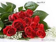 آنْڛآنْہہ طُمْوُﭸہ آﭸٻٻٺ آلُځيُآلُ آعٌشُقٌ قٌصًصًہآ وُمْآٺوُفُيُقٌيُ ٻآلُڊنْيُآ ٻعٌڊآلُلُہ آلُآٻڊعٌآء آمْيُ