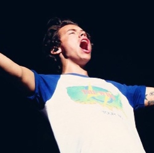 staygoldhstyles's profile picture. free follow from @liveaidstyles