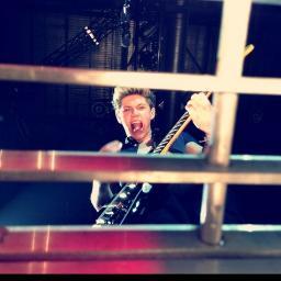 im not Niall, im in one direction. i sing and play an instrument with 6 strings on it ! (PARODY)