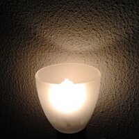Jetse Hoekstra (@jetse0903) 's Twitter Profile