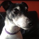 Peter Cooley - @CooleyPeter - Twitter